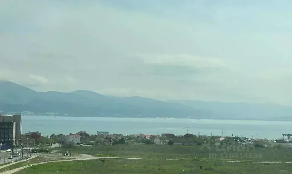 1-к кв. Краснодарский край, Новороссийск ул. Мурата Ахеджака, 21 (37.0 ... - Фото 0