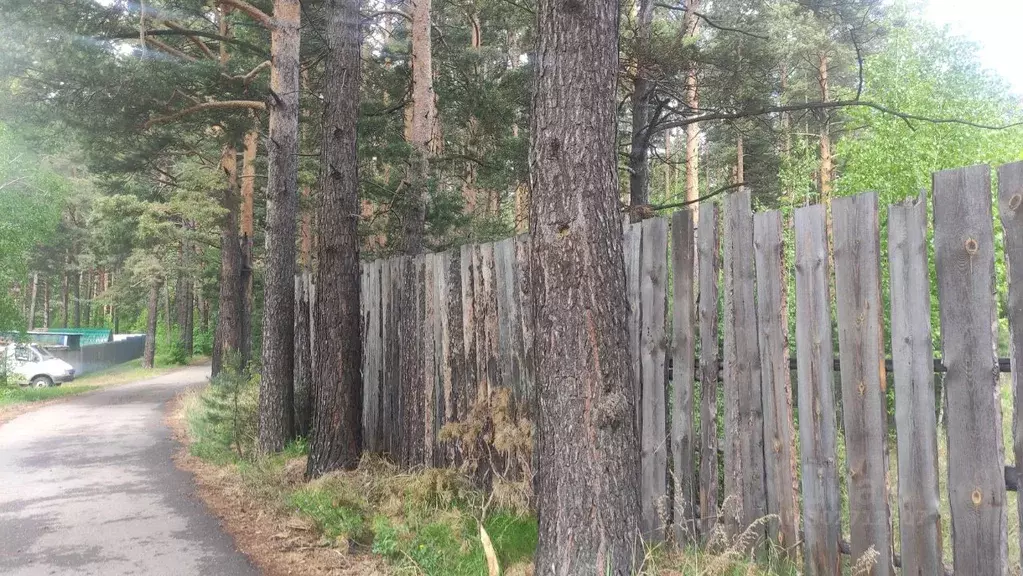 Участок в Иркутская область, Усольский район, Белореченское городское ... - Фото 1