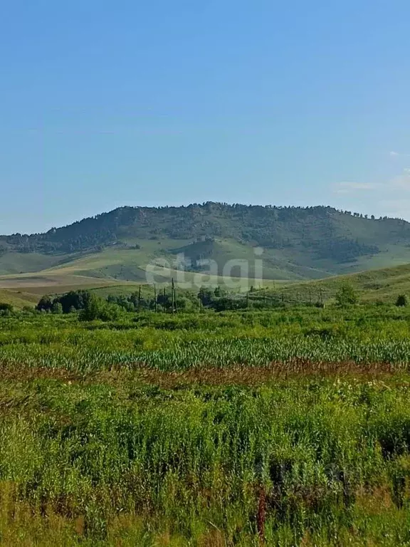 Участок в Алтайский край, Алтайский район, с. Верх-Ая Алтайская ул. ... - Фото 1