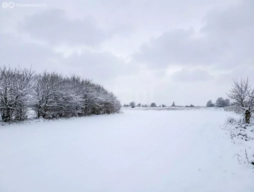 Участок в Тульская область, Ефремовский муниципальный округ, деревня ... - Фото 2