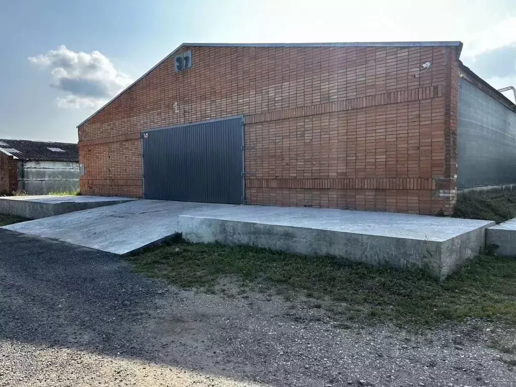 Склад в Москва № 170 кв-л, 3с1 (2000 м) - Фото 1