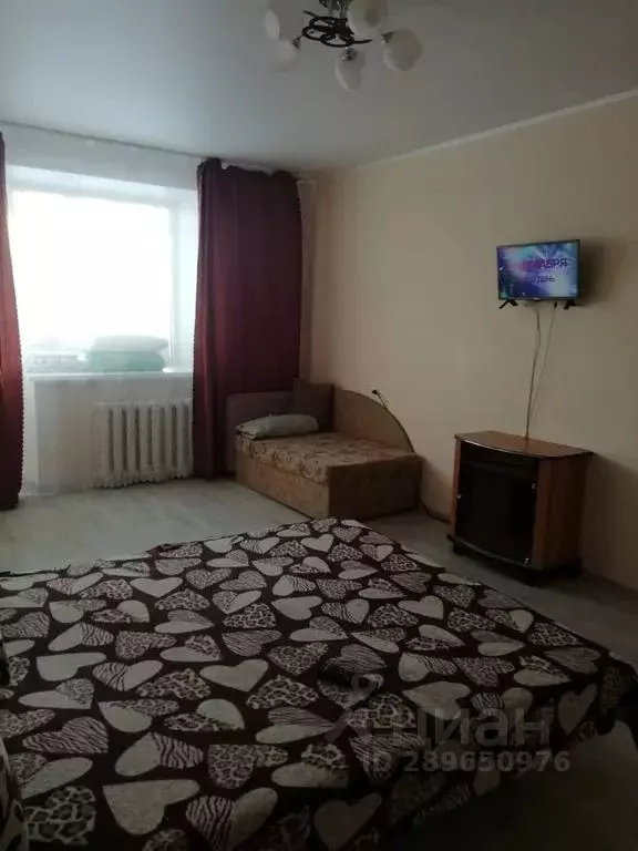 1-к кв. Башкортостан, Белебей ул. Войкова, 103 (31.0 м) - Фото 2