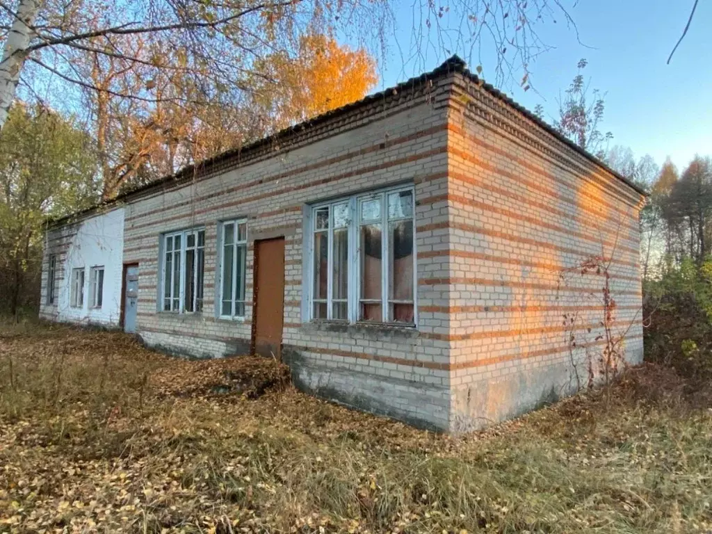 Помещение свободного назначения в Пензенская область, Лунинский район, ... - Фото 1