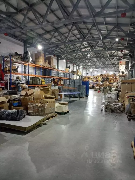 Склад в Московская область, Раменский муниципальный округ, с. Софьино  ... - Фото 1