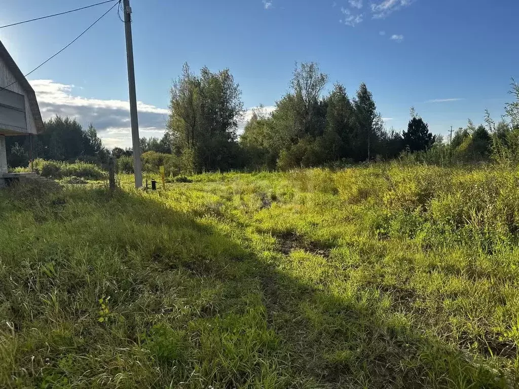 Участок в Тюменская область, с. Ярково  (12.0 сот.) - Фото 1