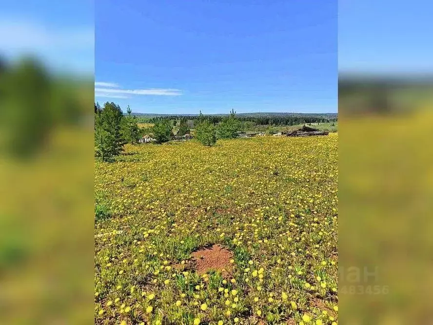 Участок в Пермский край, д. Валевая ул. Валеваевская, 5 (15.98 сот.) - Фото 0