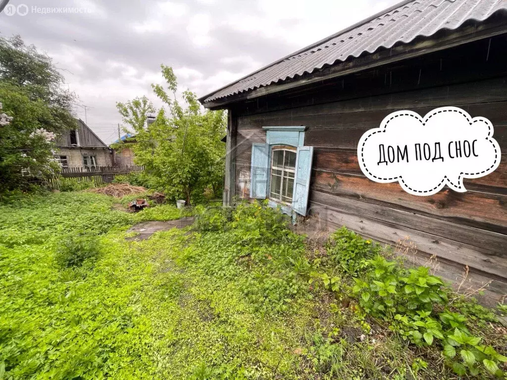 Участок в Красноярск, улица Циолковского, 4 (6 м) - Фото 2