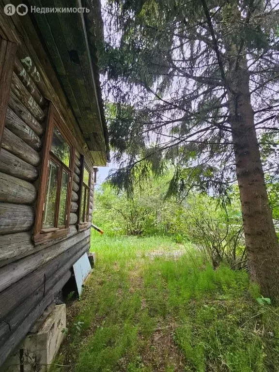 Дом в Рахьинское городское поселение, садоводческий массив Борисова ... - Фото 0