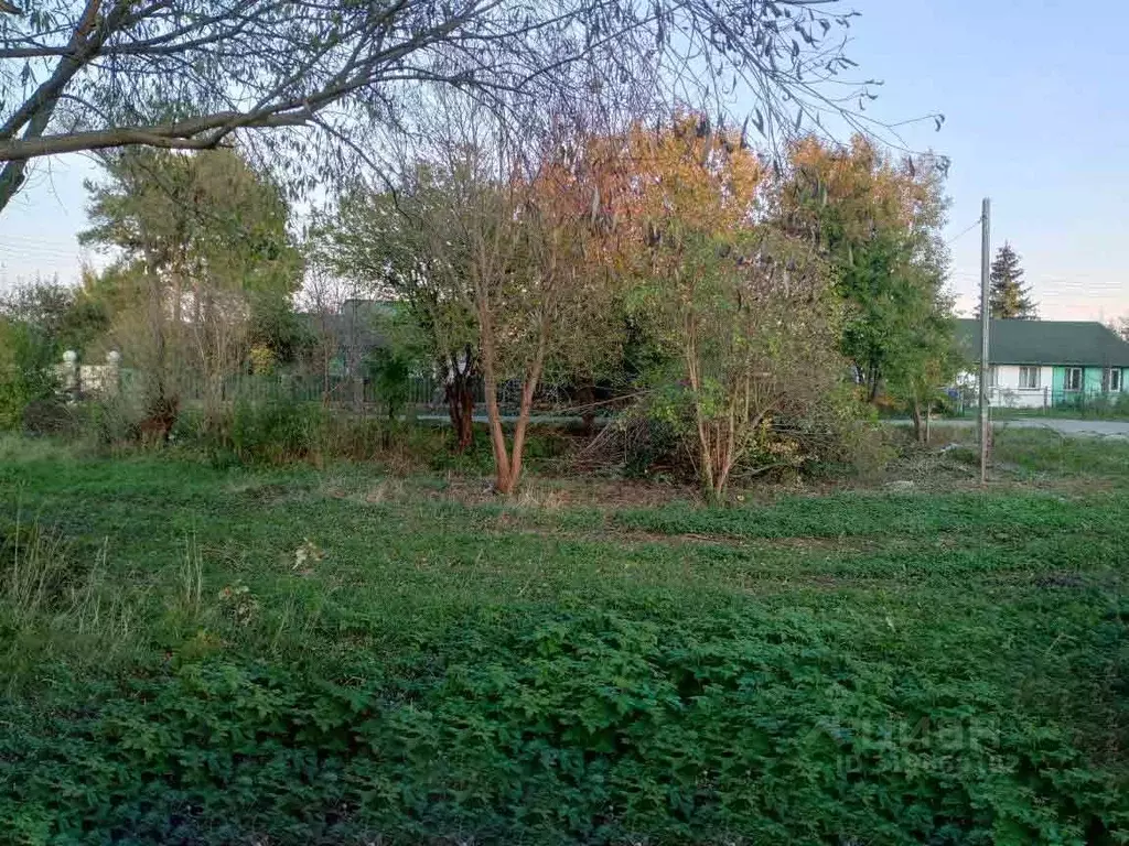 Участок в Московская область, Ступино городской округ, д. Шугарово ул. ... - Фото 1