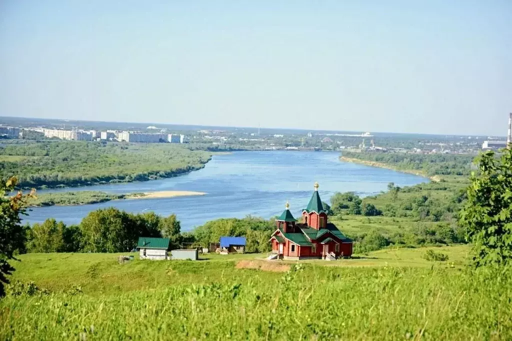 Участок в Нижегородская область, Богородский район, д. Трестьяны ул. ... - Фото 1