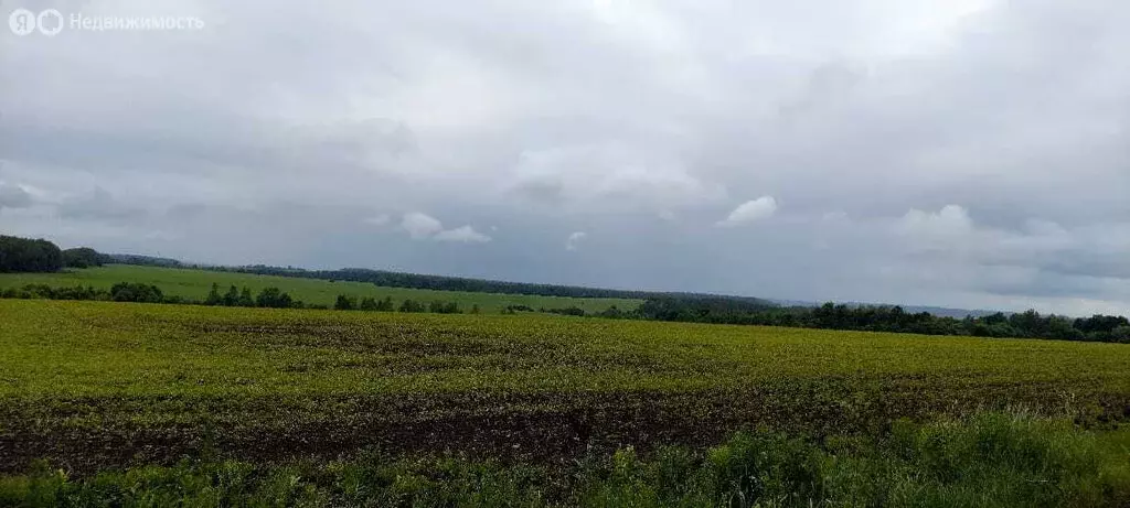 Участок в Мценский район, Чахинское сельское поселение, деревня ... - Фото 1