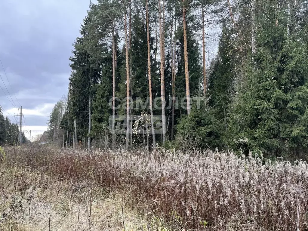 Участок в Московская область, Дмитровский городской округ, ... - Фото 1