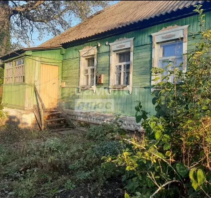 Дом 38,9 м на участке 50 сот. - Фото 0