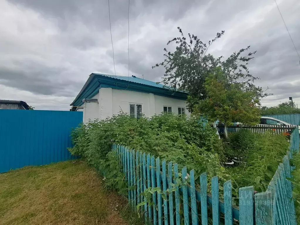 Дом в Курганская область, с. Белозерское ул. Калинина, 4 (45 м) - Фото 1