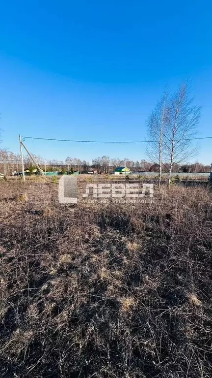 Участок 12 сот. (СНТ, ДНП) - Фото 0