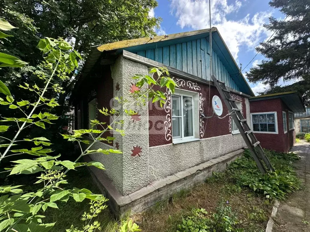 Дом в Омская область, Омский район, с. Дружино 1 Мая ул., 6 (56 м) - Фото 1