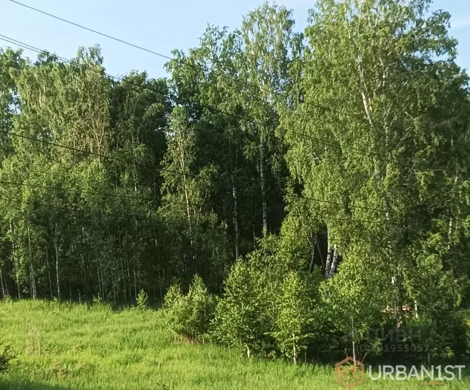 Участок в Красноярский край, Березовский район, Зыковский сельсовет, ... - Фото 1