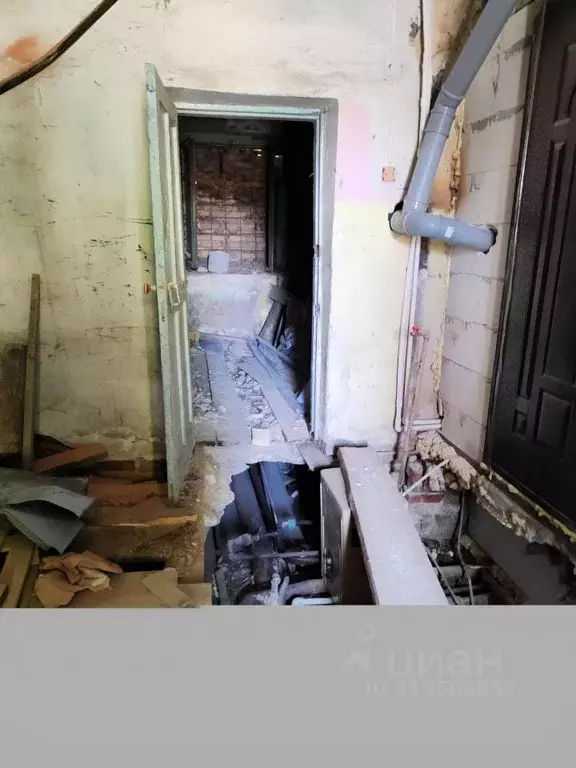 Помещение свободного назначения в Кемеровская область, Прокопьевск ул. ... - Фото 1