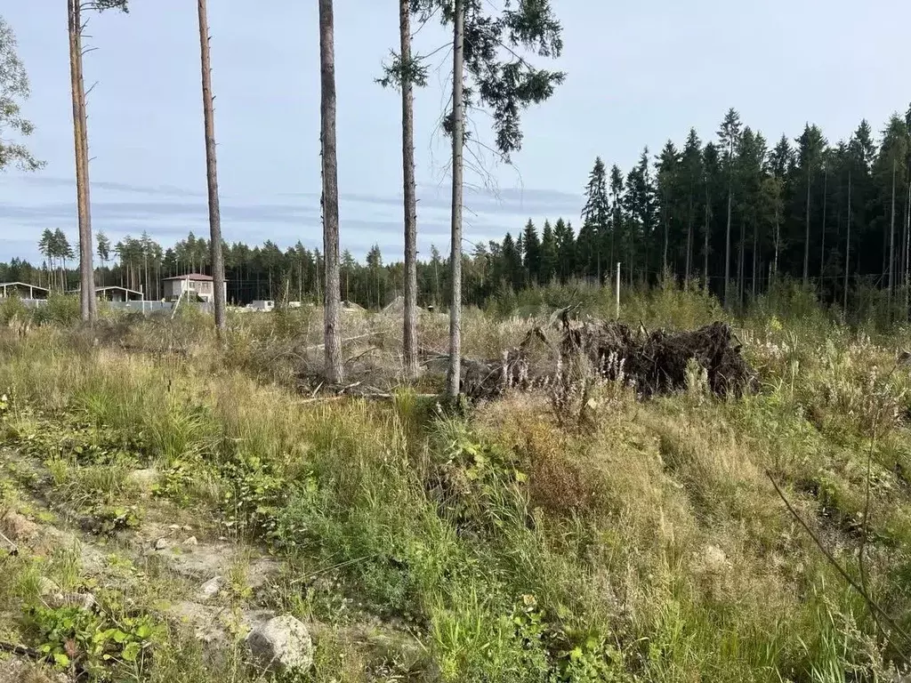 Участок в Ленинградская область, Всеволожский район, Сертоловское ... - Фото 1