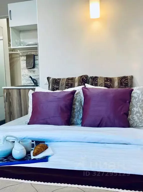 Студия Московская область, Химки Клязьма кв-л, проезд Набережный, 5 ... - Фото 2