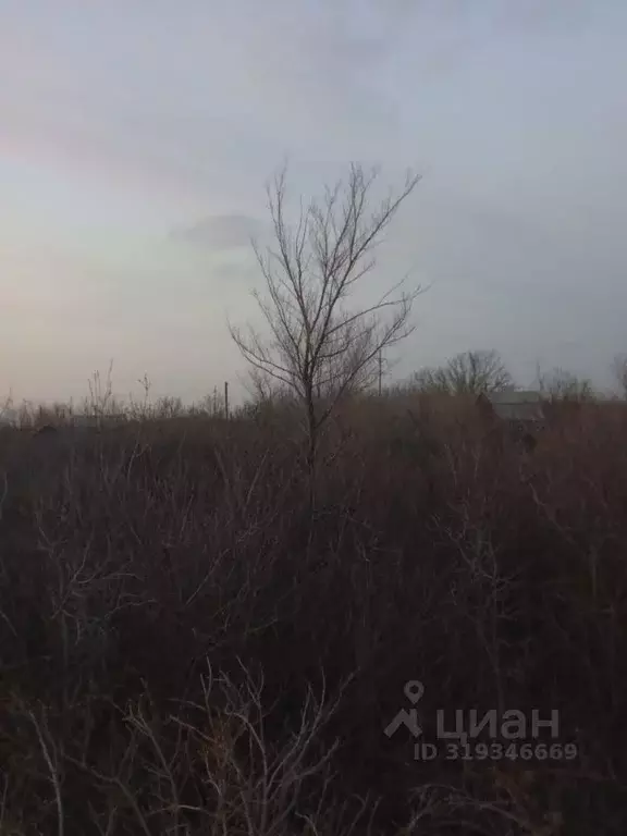 Участок в Оренбургская область, Оренбургский район, Весенний ... - Фото 0