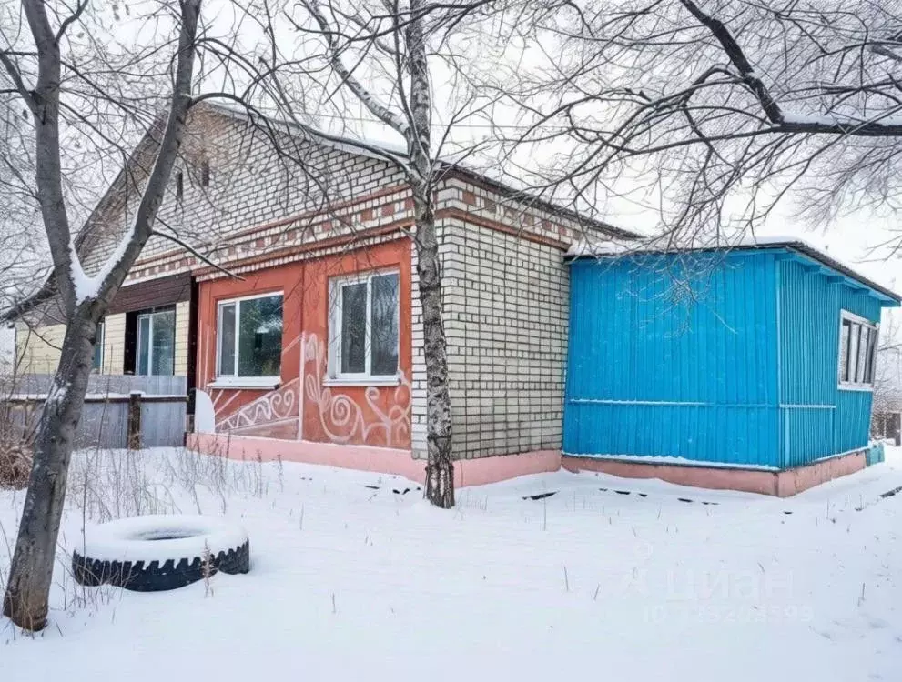 Дом в Амурская область, Серышевский муниципальный округ, с. Белогорка ... - Фото 1