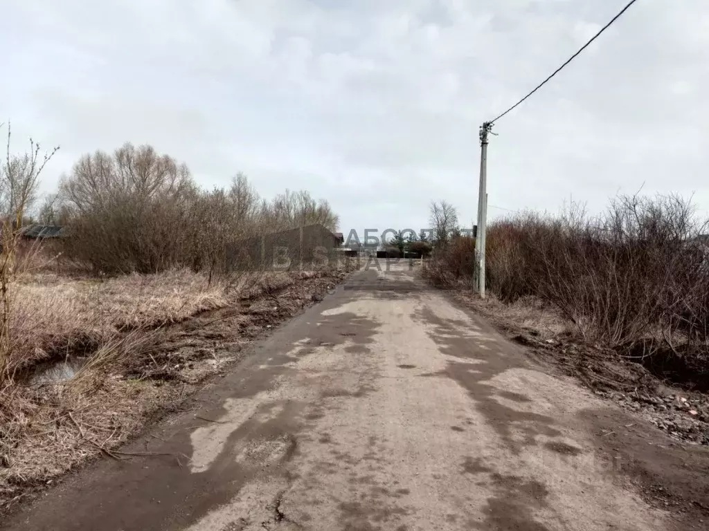 Участок в Новгородская область, Новгородский район, Трубичинское ... - Фото 1