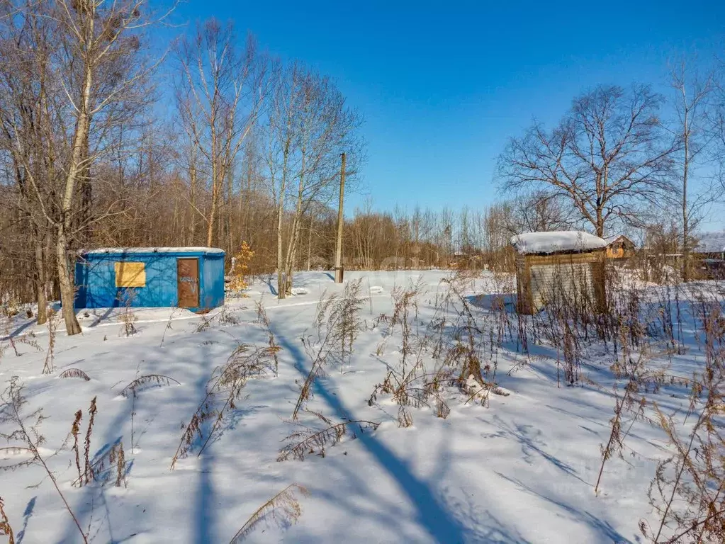 Дом в Хабаровский край, Хабаровский район, Мичуринское с/пос, Лотос-2 ... - Фото 2