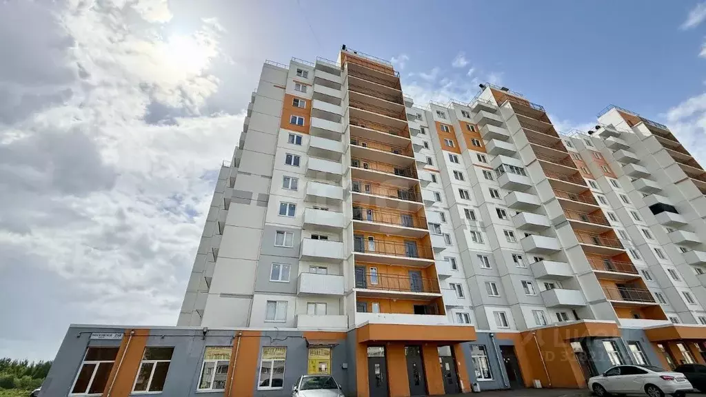 Студия Санкт-Петербург пос. Шушары, Московское ш., 258к1 (26.7 м) - Фото 1