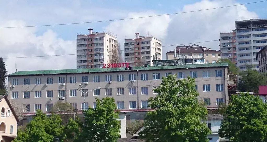 Офис в Краснодарский край, Сочи Пластунская ул., 47А (26 м) - Фото 1