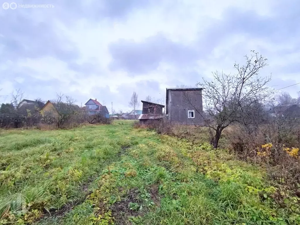 Участок в Владимирская область, Александровский муниципальный округ, ... - Фото 1