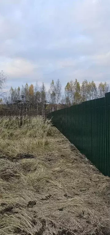 Участок в Московская область, Клин городской округ, д. Першутино 116 ... - Фото 1