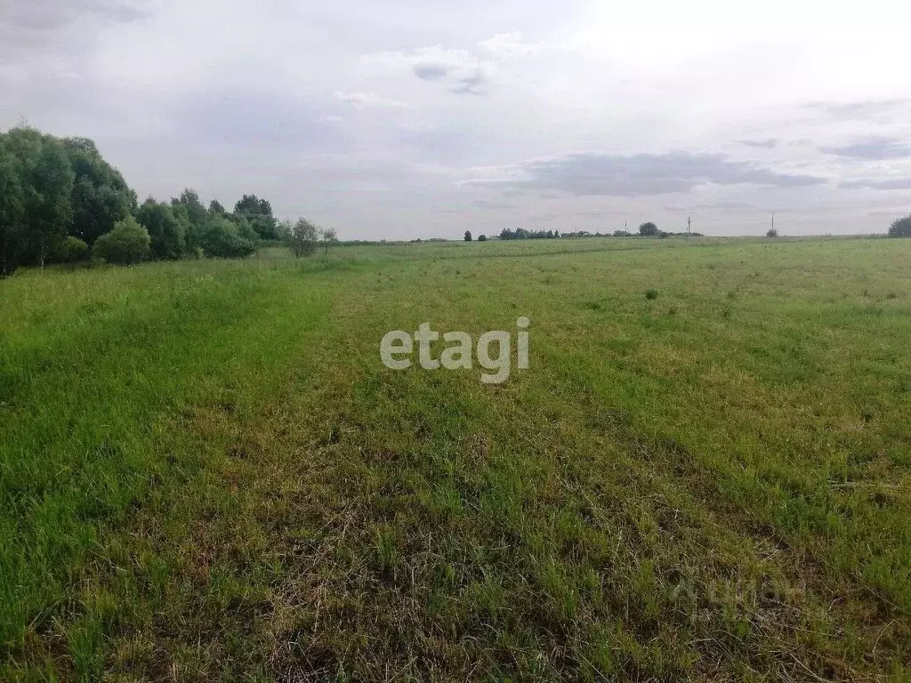 Участок в Костромская область, Костромской район, Кузнецовское с/пос, ... - Фото 1