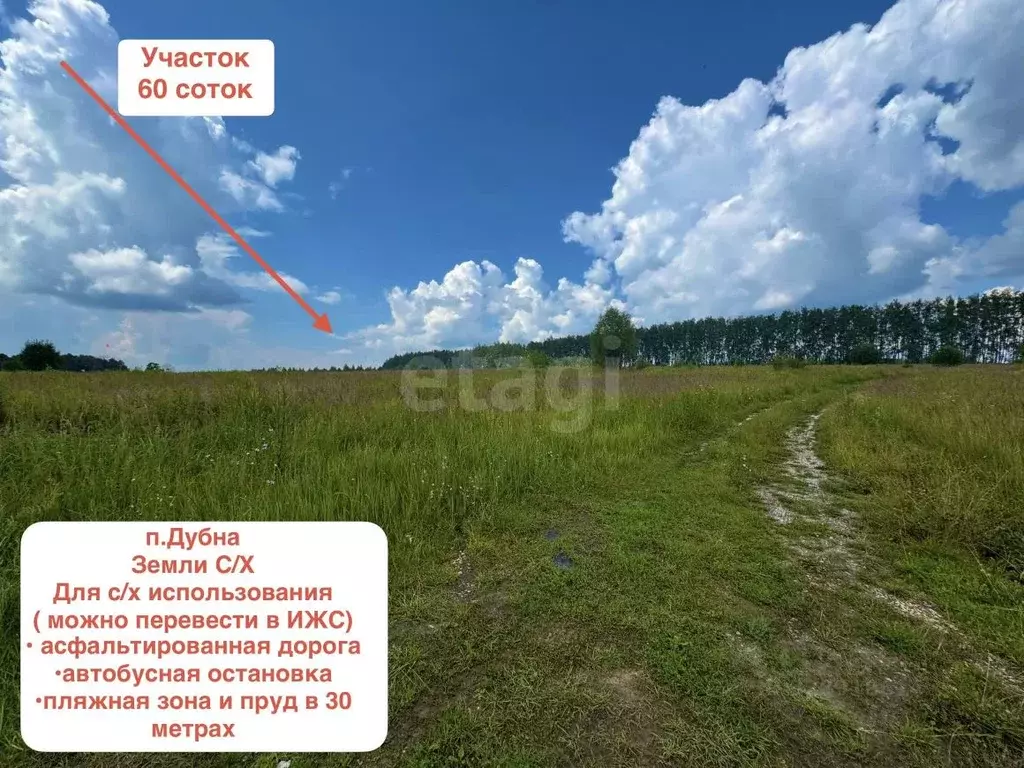 Участок в Тульская область, Дубенский район, Протасовское с/пос, с. ... - Фото 1