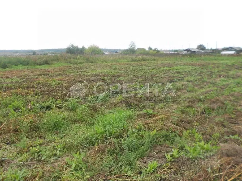Участок в Свердловская область, Слободо-Туринский район, ... - Фото 1