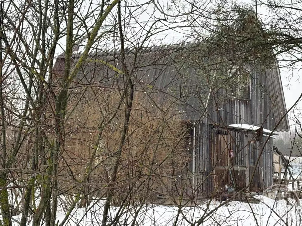 Дом в Ленинградская область, Отрадное Кировский район, пос. Петрушино, ... - Фото 2