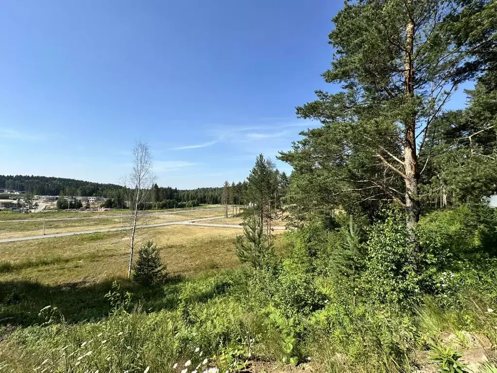 Участок в Ленинградская область, Всеволожский район, Бугровское ... - Фото 2