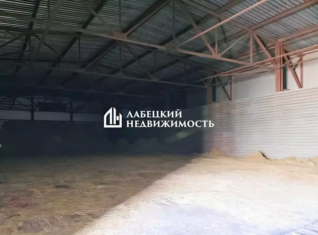 Склад в Ленинградская область, Всеволожский район, Токсовское ... - Фото 2