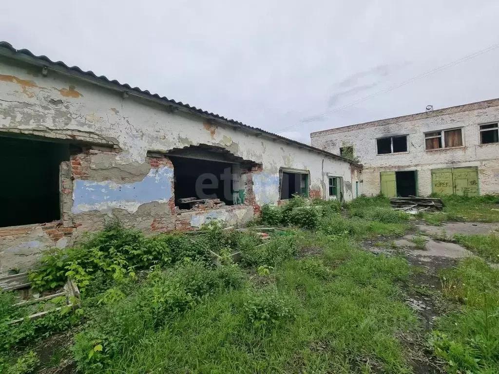 Помещение свободного назначения в Саратовская область, Балашов ул. ... - Фото 1