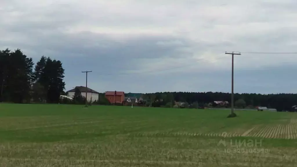 Участок в Московская область, Богородский городской округ, д. Аборино  ... - Фото 1