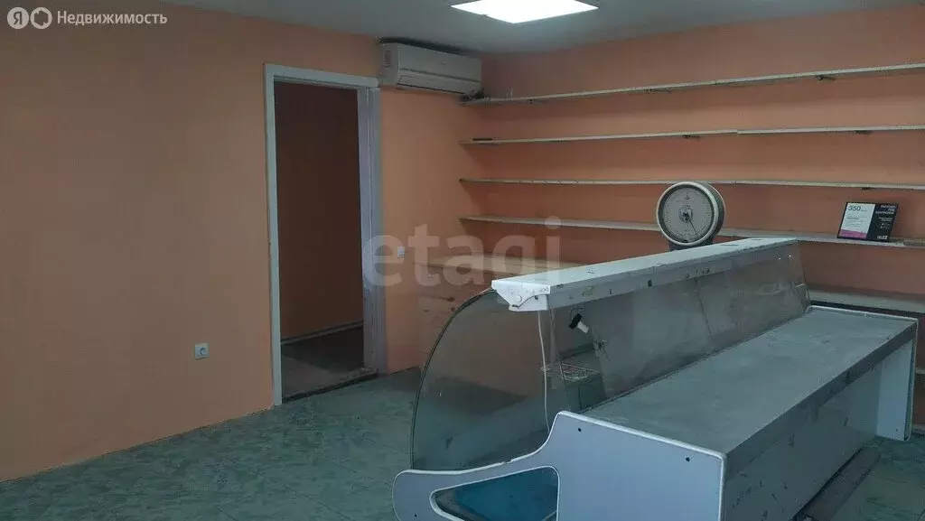 Помещение свободного назначения (47 м) - Фото 2