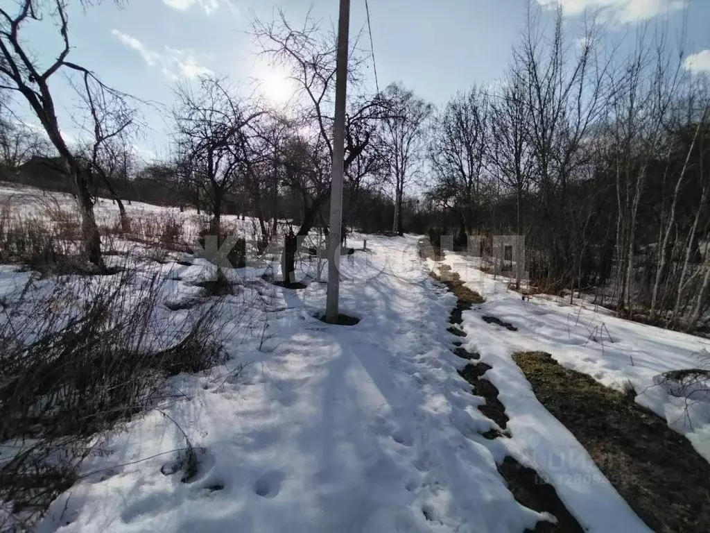 Участок в Брянская область, Брянск Березка садоводческое объединение,  ... - Фото 1