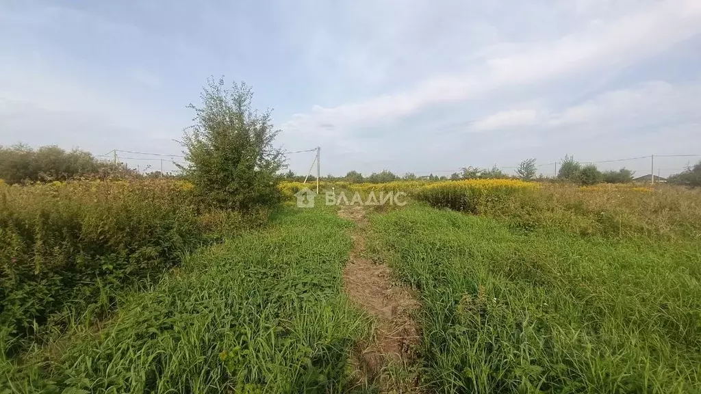 Участок в Калининградская область, Зеленоградский муниципальный округ, ... - Фото 2