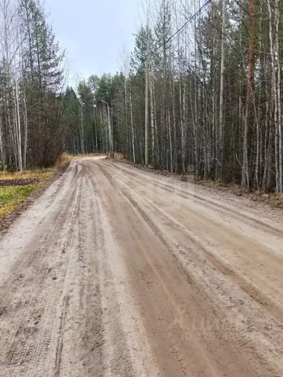 Участок в Коми, Сыктывкар городской округ, Верхняя Максаковка пгт ул. ... - Фото 2