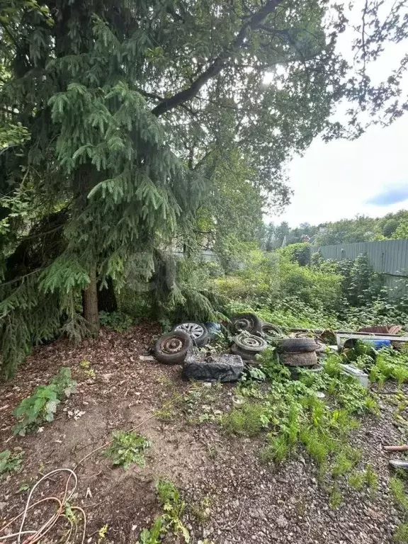 Участок в Москва Лель СНТ, 17с1 (8.0 сот.) - Фото 2