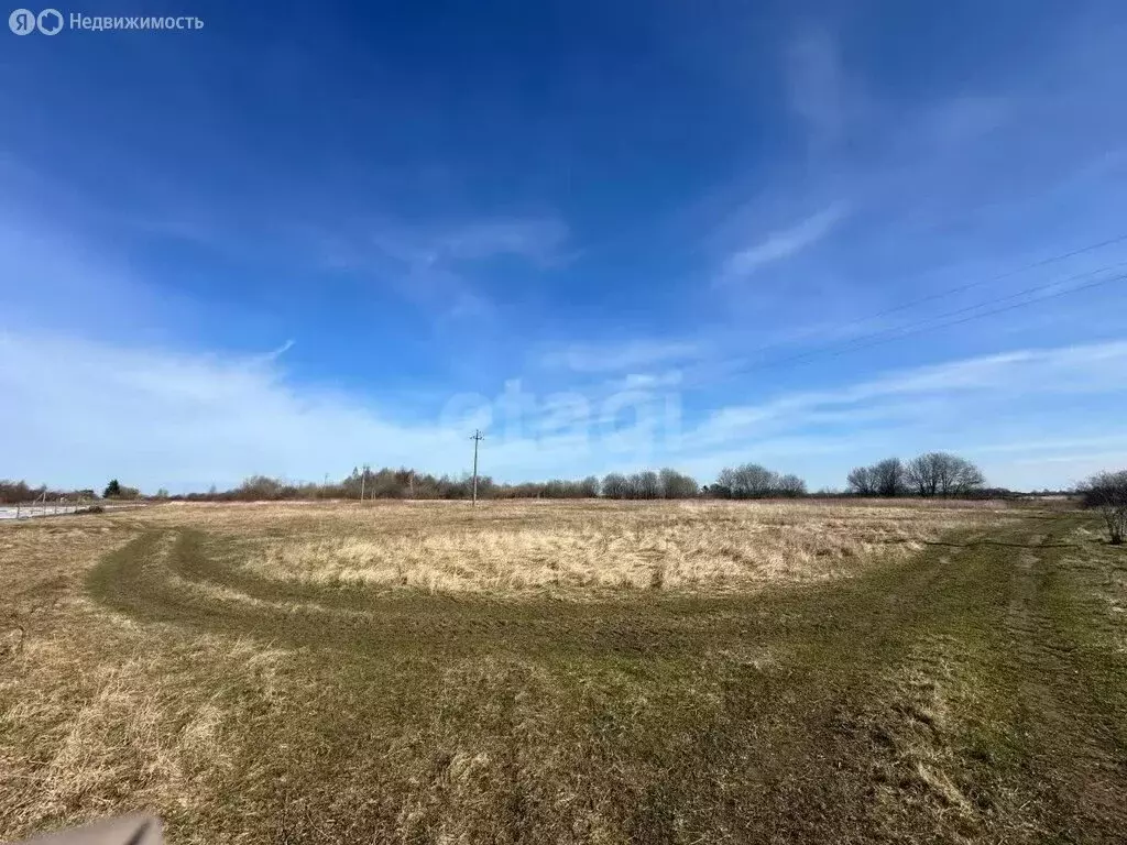 Участок в Калининградская область, Полесский муниципальный округ, ... - Фото 2