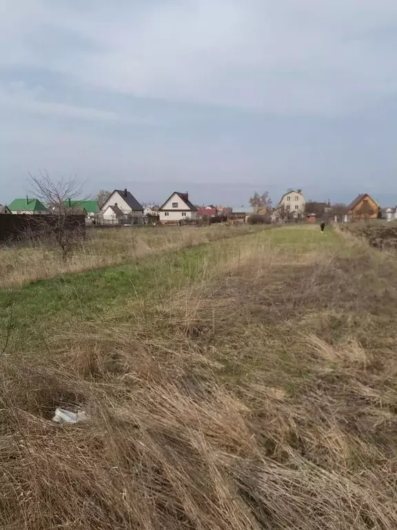 Участок в Тамбовская область, Тамбовский муниципальный округ, с. ... - Фото 1