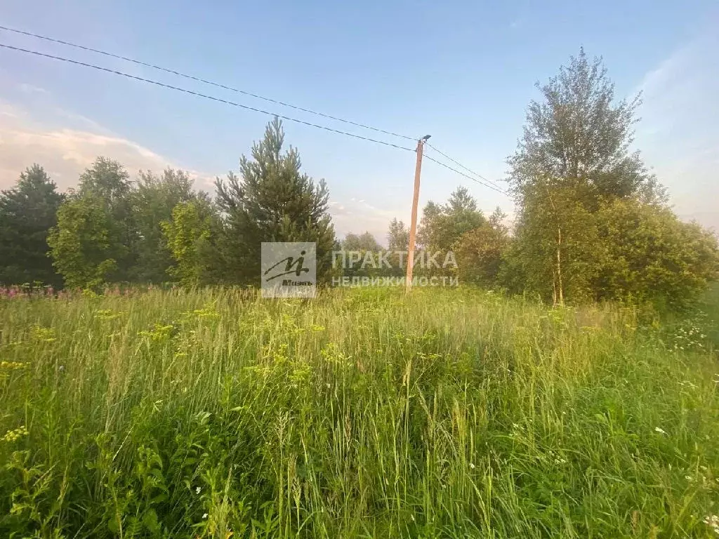 Продается участок в д. Власово - Фото 2