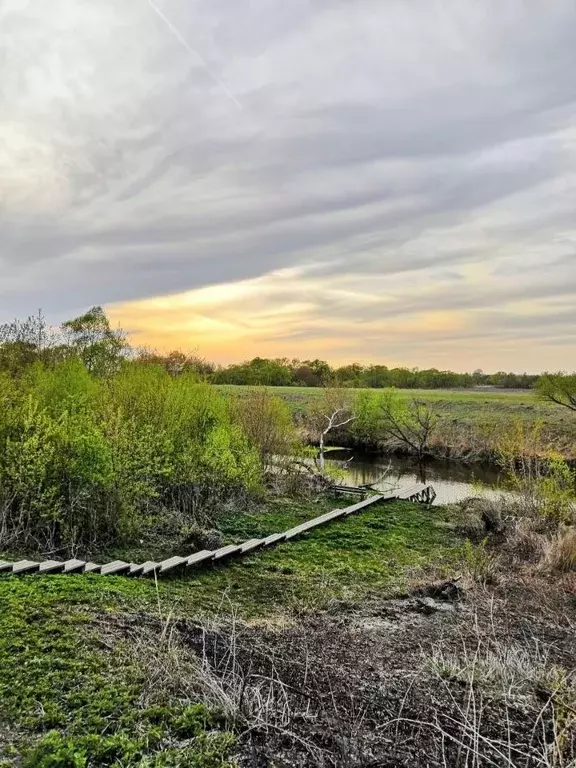 Дом в Рязанская область, Михайловский муниципальный округ, с. ... - Фото 1