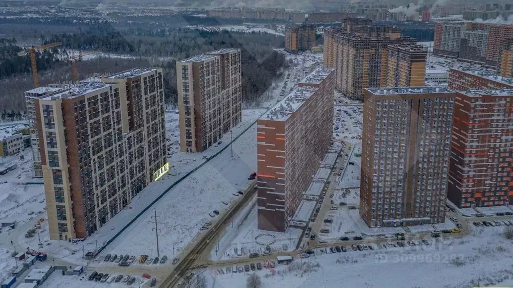 Торговая площадь в Московская область, Балашиха Новое Павлино мкр, ул. ... - Фото 1